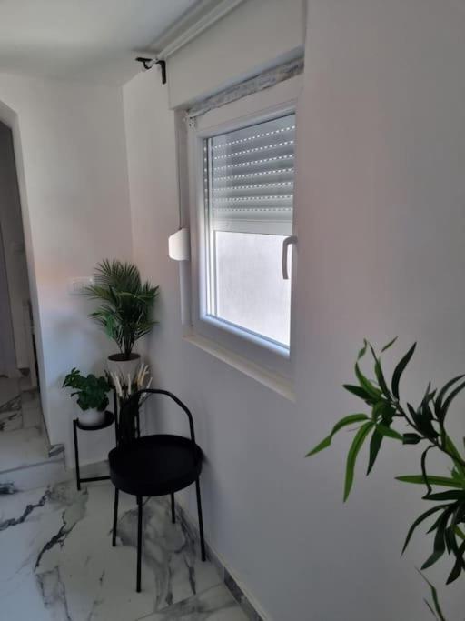 Blue Eden In Old Town Private Penthouse Zadar