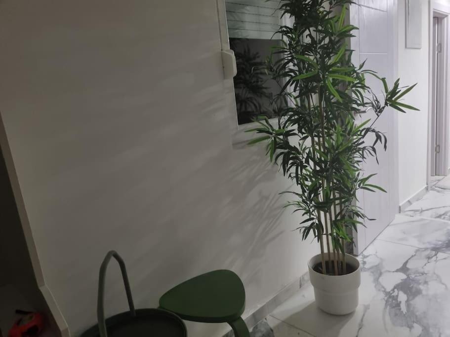 Blue Eden In Old Town Private Penthouse Zadar